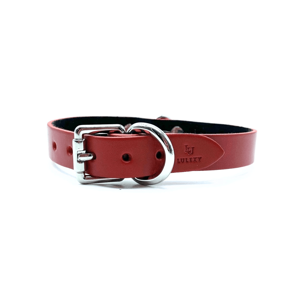 Mini D-Ring Italian Leather Day Collar