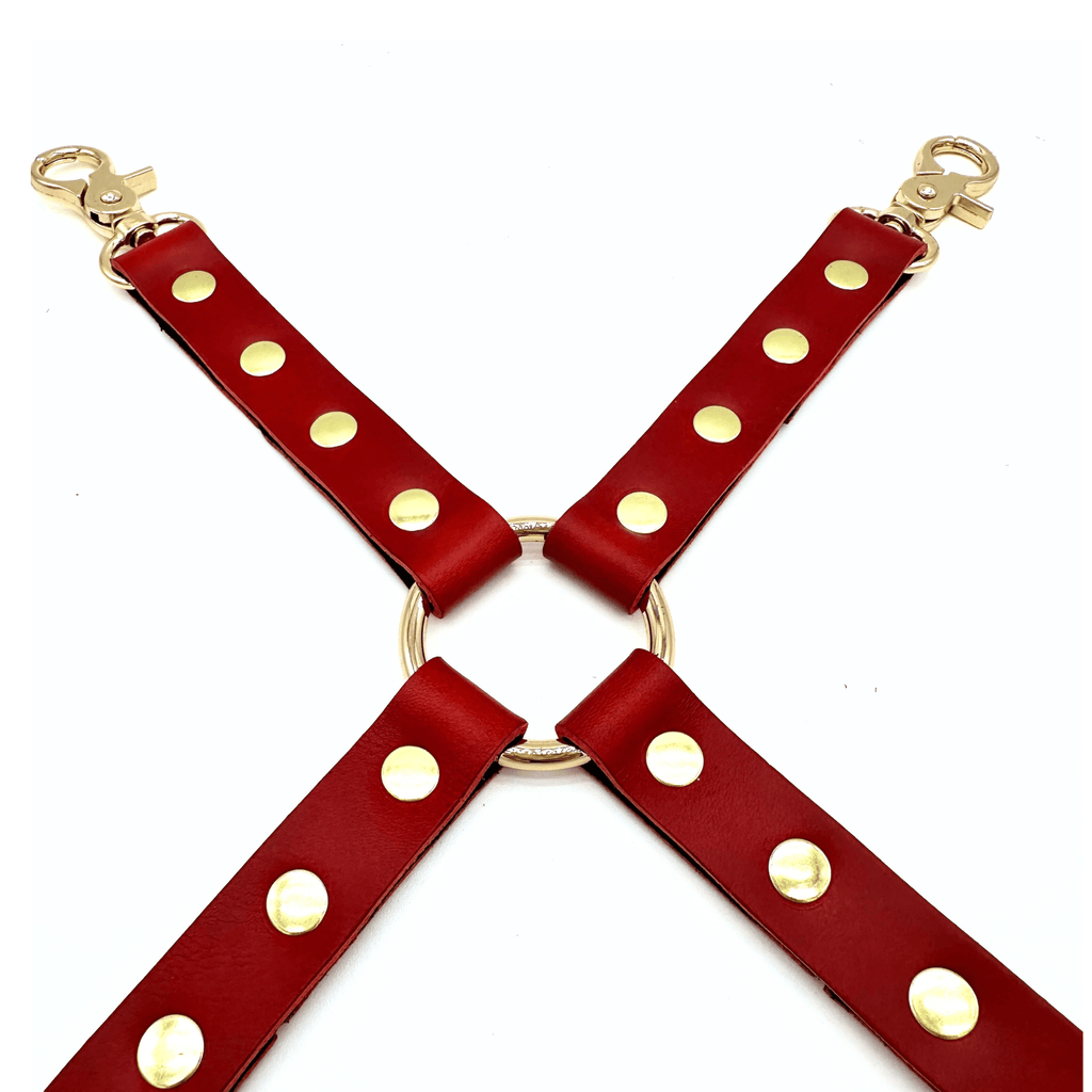 MONA Italian Leather Hog-Tie