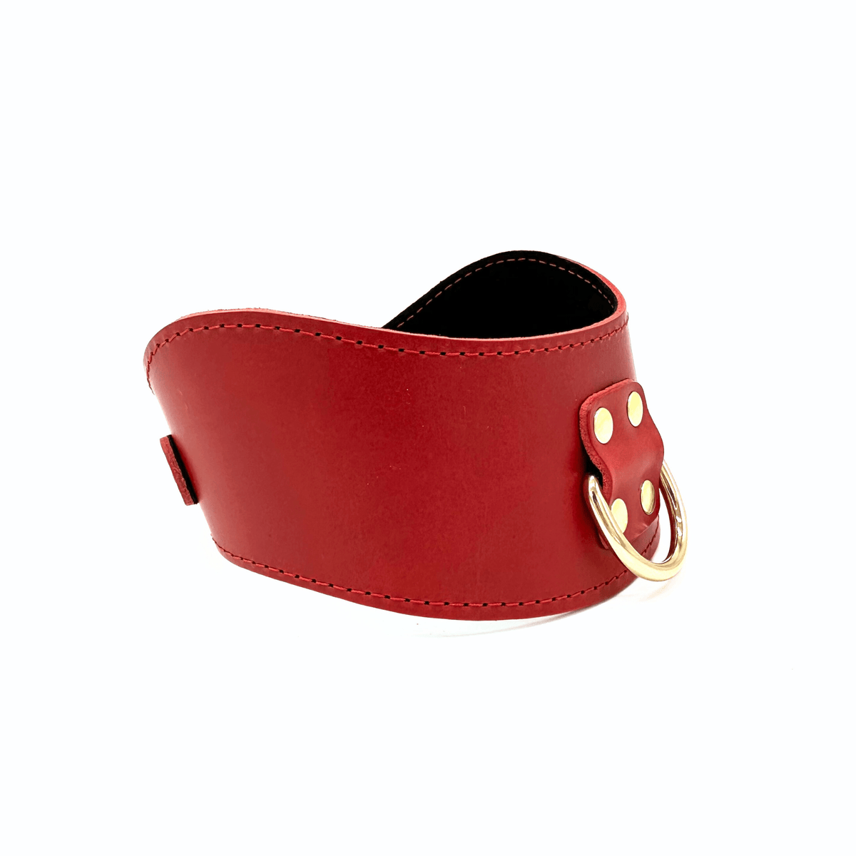 TANGO Italian Leather Posture Collar