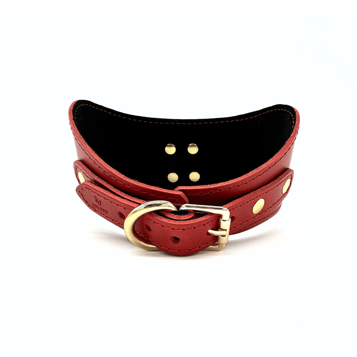 TANGO Italian Leather Posture Collar