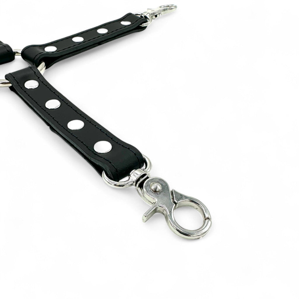 TANGO Leather Hog-Tie