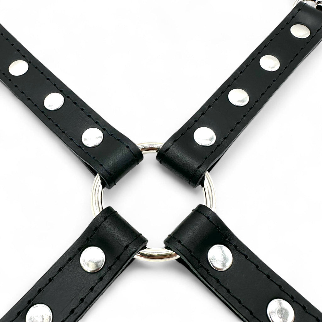 TANGO Leather Hog-Tie