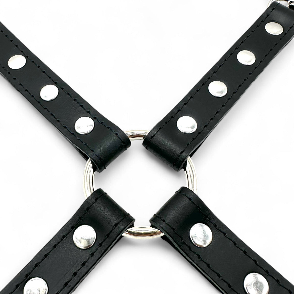 TANGO Leather Hog-Tie