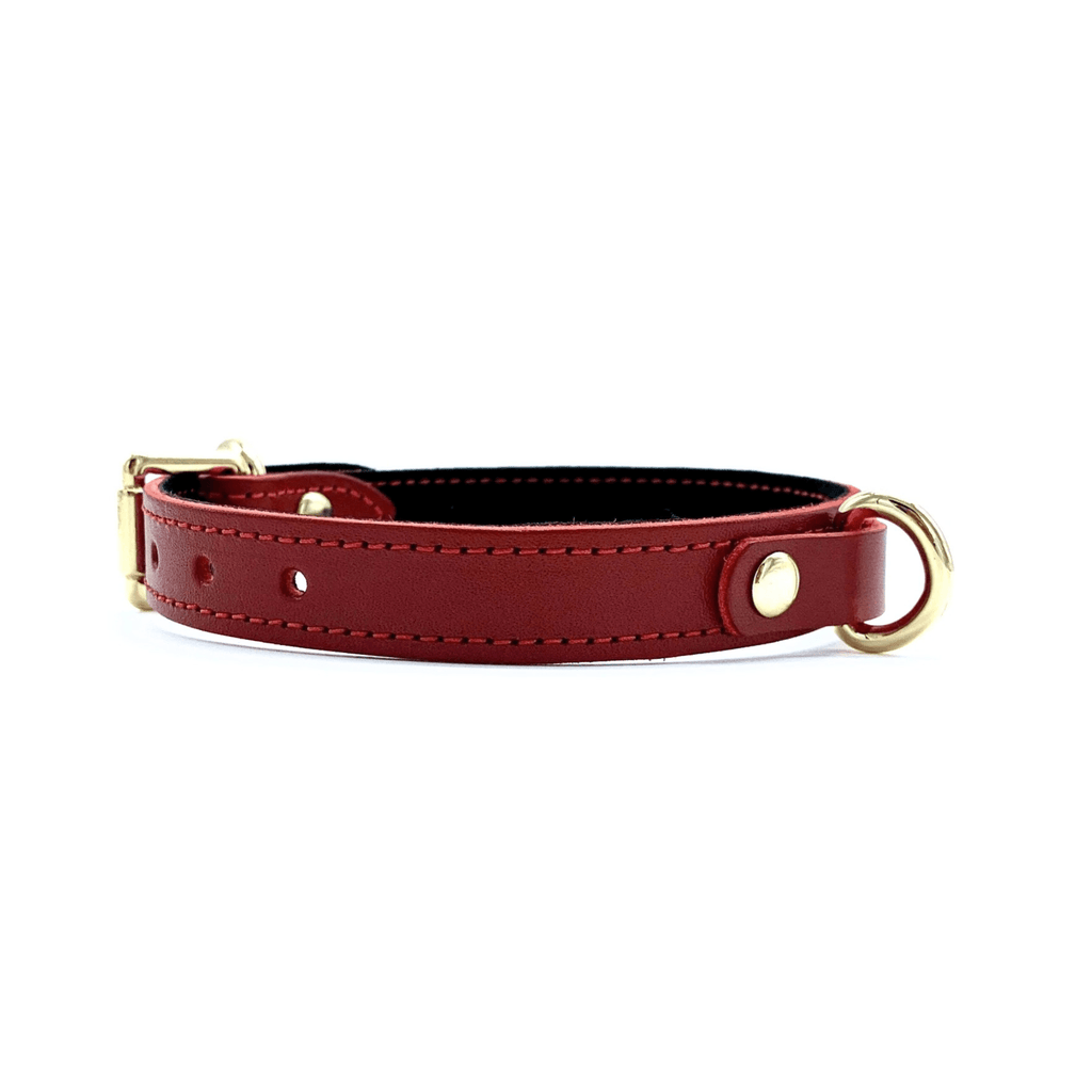 Tango Mini D-Ring Italian Leather Choker