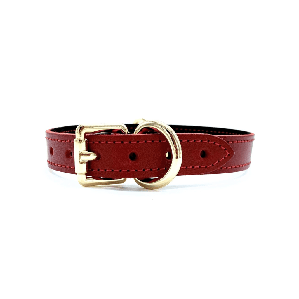 Tango Mini D-Ring Italian Leather Choker