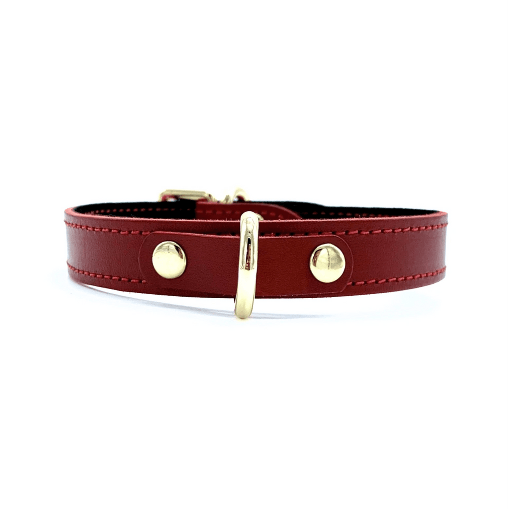 Tango Mini D-Ring Italian Leather Choker