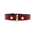 Tango Mini D-Ring Italian Leather Choker
