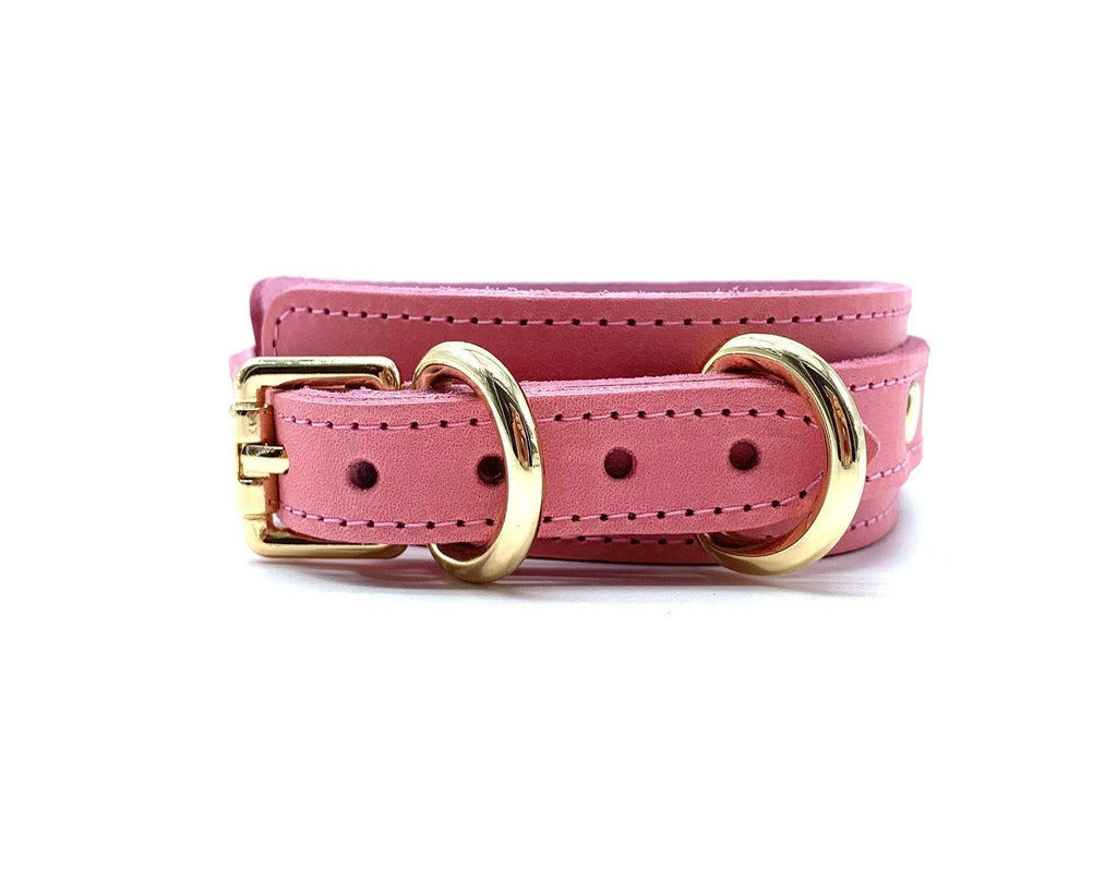 TANGO Pink Leather Collar & Leash