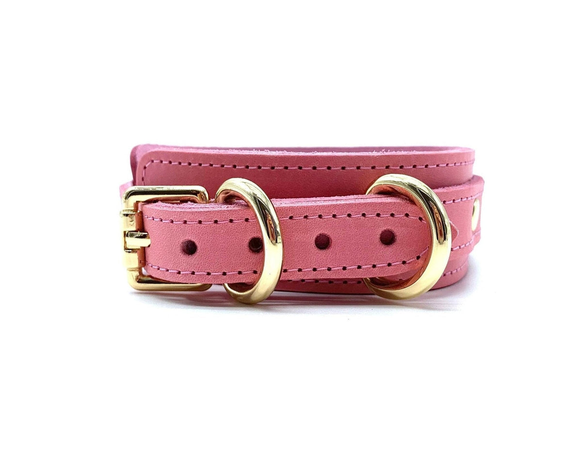 TANGO Pink Leather Collar & Leash
